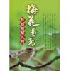 梅花易数白话精...
